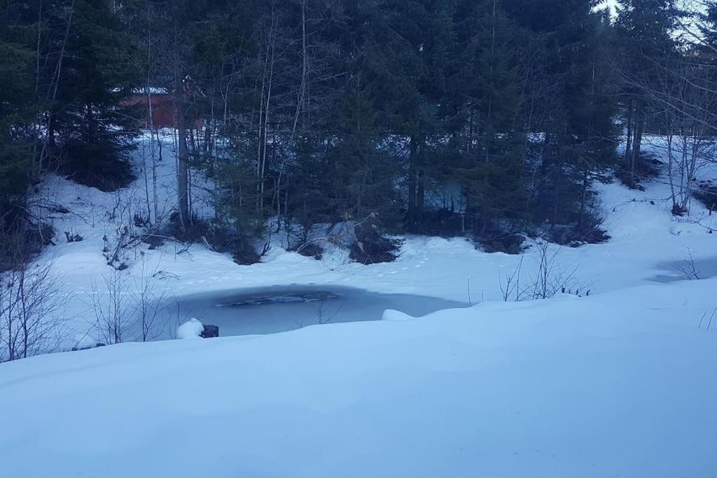 River Run Ranch - Telemark Drangedal Exterior foto