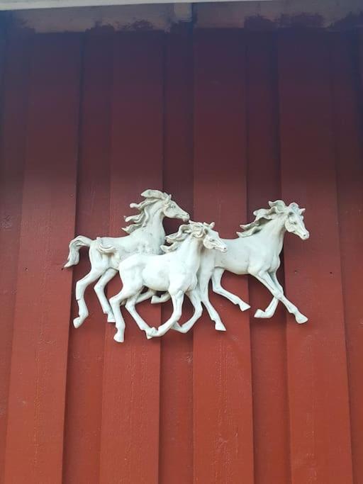 River Run Ranch - Telemark Drangedal Exterior foto